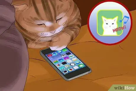 Image titled Take Photos of Adoptable Cats Step 8