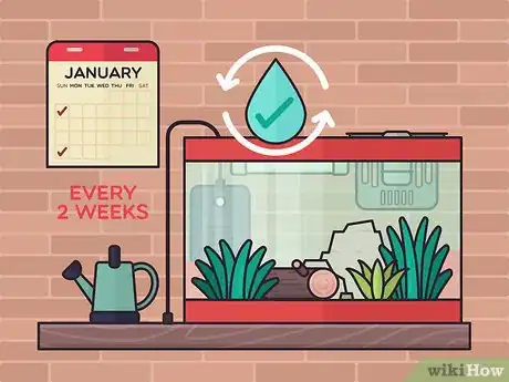 Image titled Set Up a Plant‐Only Aquarium Step 9
