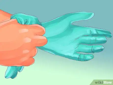 Image titled Collect Bodily Fluid Samples from a Cat Step 7