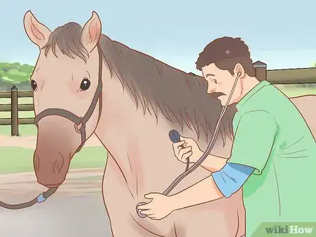 Image titled Condition Your Horse for Endurance Riding Step 1