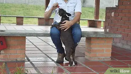 Image titled Make a Dog Stand Up Step 14