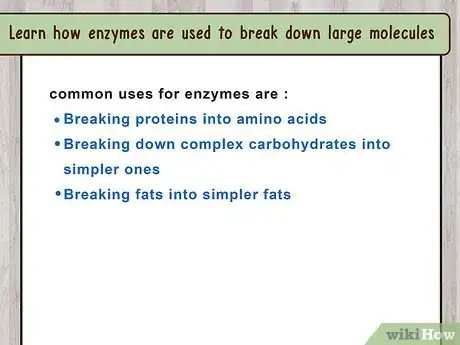 Image titled Study the Physiology of Digestion in the Human Body Step 8