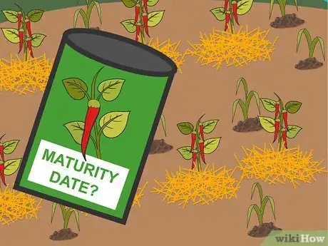 Image titled Grow Hot Peppers Step 18