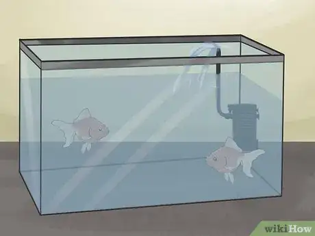 Image titled Breed Fish Step 6