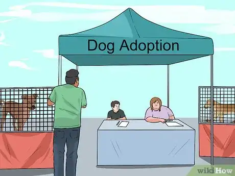 Image titled Help Dogs in Need Step 8
