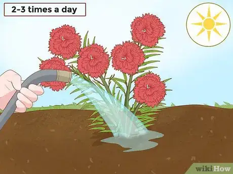 Image titled Water Carnations Step 1