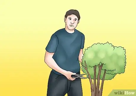 Image titled Prune Tardiva Hydrangea Step 9