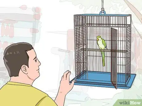 Image titled Entertain a Quaker Parrot Step 11