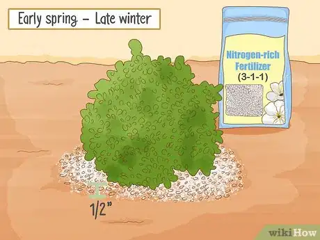 Image titled Grow Boxwood Shrubs Step 18