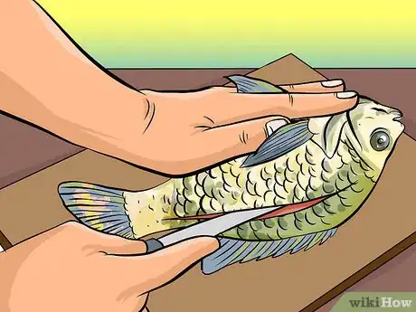 Image titled Clean Sunfish Step 8
