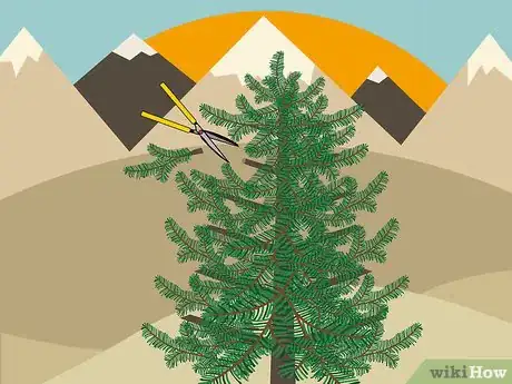 Image titled Prune White Pine Trees Step 05