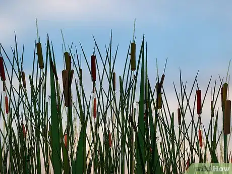 Image titled Prevent Fertilizer Runoff Step 9