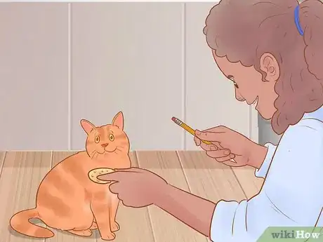 Image titled Target Train a Cat Step 12
