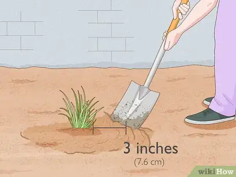 Image titled Grow Chives Indoors Step 11