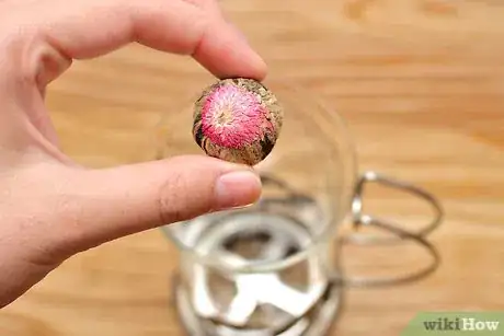 Image titled Make Blooming Tea Step 1