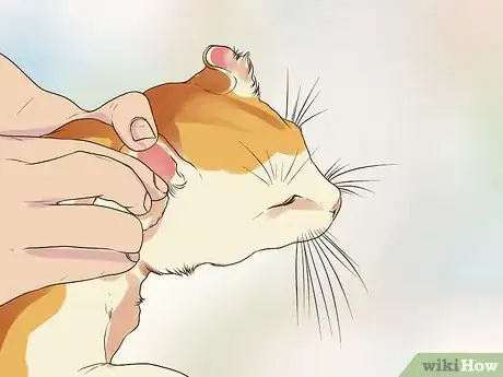 Image titled Care for an American Curl Cat Step 7