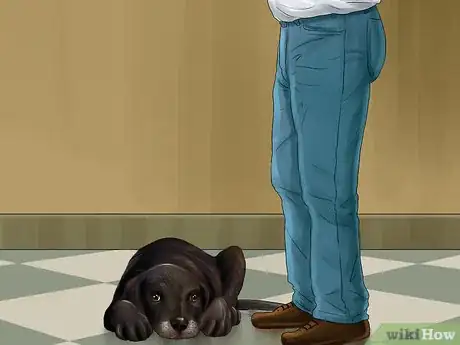 Image titled Deal with Canine Noise Aversion Step 8