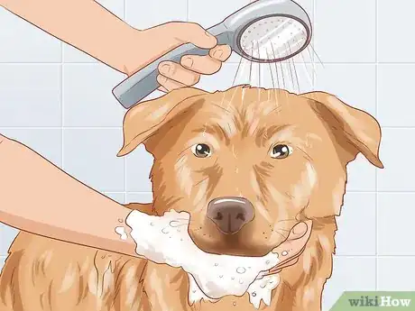 Image titled Foster Shelter Dogs Step 13