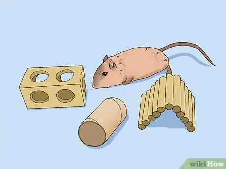 Image titled Buy a Gerbil Step 16