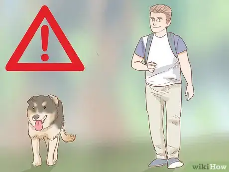 Image titled Take Your Dog Camping Step 18