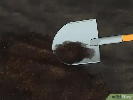 Image titled Grow Oleander Step 4