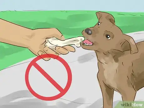 Image titled Prevent a Rabies Infection Step 4