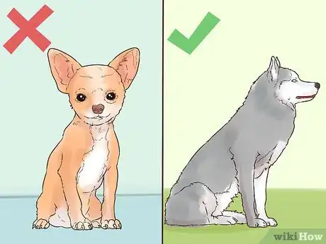 Image titled Protect Dog Paws Step 2