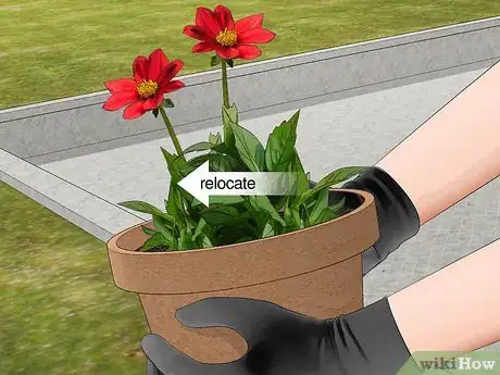 Image titled Keep Bees Away from Your Pool Step 9