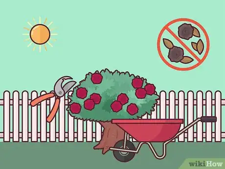 Image titled Save a Dying Rose Bush Step 2