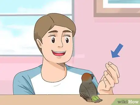 Image titled Handle a Scared Red Bellied Parrot Step 9