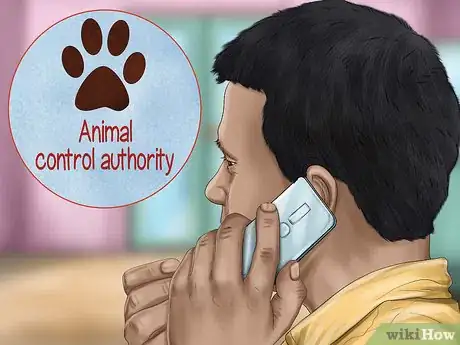 Image titled Approach an Unfamiliar Dog Step 2