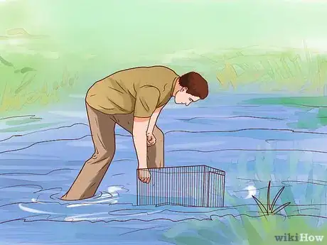 Image titled Catch Water Turtles Step 5