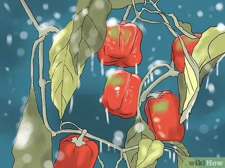 Image titled Understanding Plant Hardiness Zones Step 3