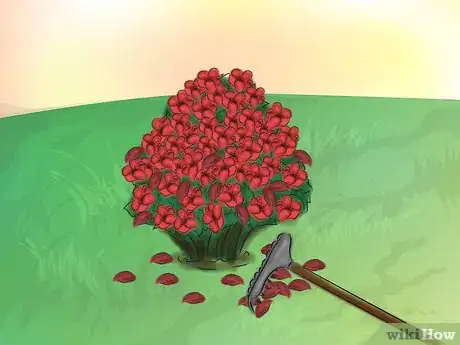 Image titled Grow Knockout Roses Step 14