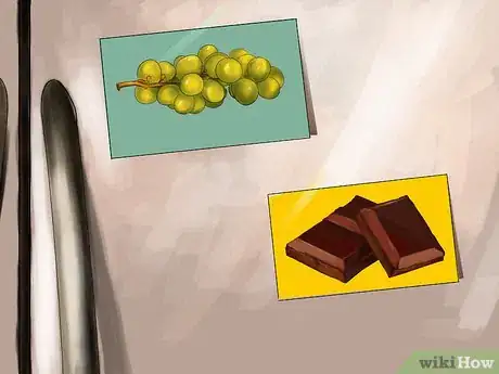 Image titled Keep Your Dog Away from Halloween Candy Step 1