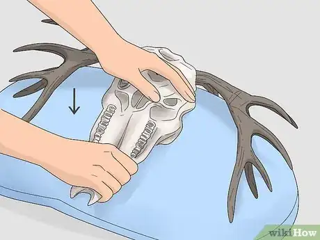 Image titled Do a European Mount Step 17