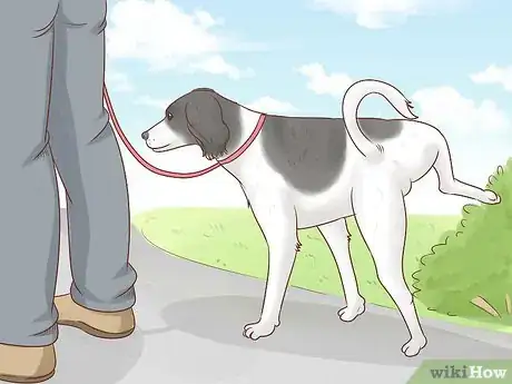 Image titled Become a Dog Walker Step 8