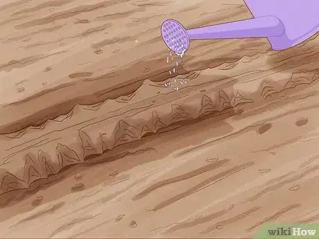 Image titled Grow Vegetables in New England Step 16