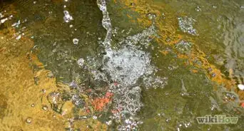 Set Up a Turtle Tank