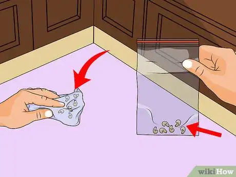 Image titled Get Rid of a Maggot Infestation Step 11