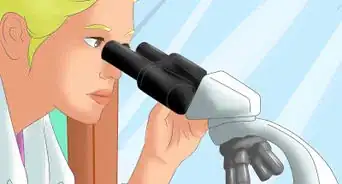 Tell the Difference Between Prokaryotes and Eukaryotes