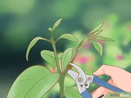 Image titled Prune Flowers Step 8