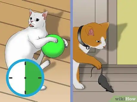 Image titled Avoid Losing Your Cat Step 13