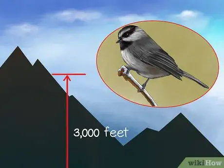 Image titled Recognize the Chickadee Step 9