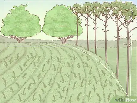 Image titled Help Prevent Desertification Step 6