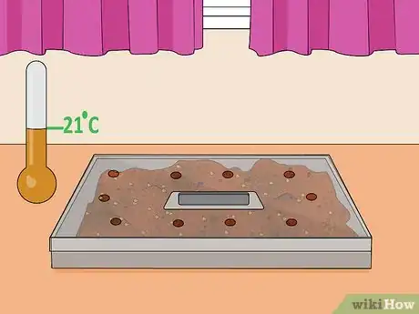 Image titled Grow Popcorn Shoots Step 10