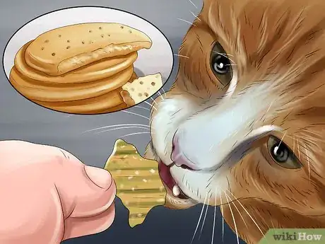 Image titled Avoid Feeding Your Cat Harmful People Foods Step 15