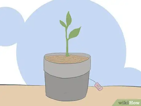 Image titled Start an Herb Garden Business Step 5