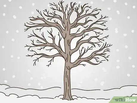 Image titled Trim Trees Step 6