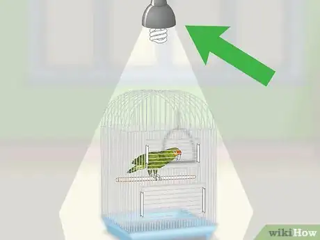 Image titled Set Up an Amazon Parrot Habitat Step 10